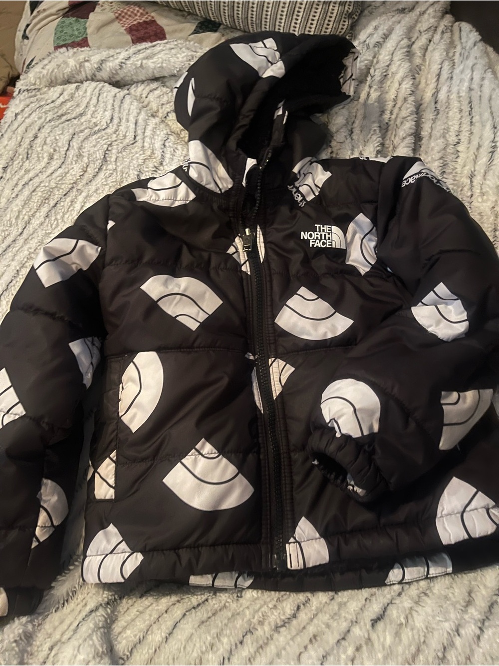 The North Face Black Hooded Puffer Jacket with White Graphic Accents
